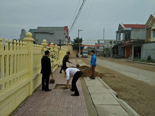 trồng cây 3.jpg
