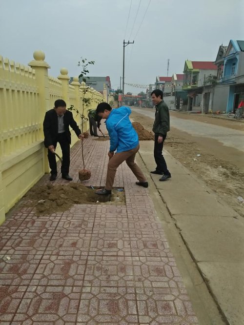 trồng cây 2.jpg