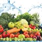 Bài tuyên truyền  Tuân thủ 10 nguyên tắc để đảm bảo vệ sinh an toàn thực phẩm