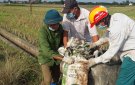 HỘI CỰU CHIẾN BINH XÃ XUÂN LẬP TỔ CHỨC  VỆ SINH ĐỒNG RUỘNG