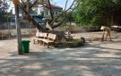 XUÂN LẬP THỰC HIỆN NGÀY CHỦ NHẬT VÌ MÔI TRƯỜNG XANH -SẠCH - ĐẸP  THEO KẾ HOẠCH 93