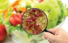 Bài tuyên truyền về vệ sinh an toàn thực phẩm