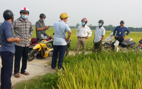 BCĐ XÃ XUÂN LẬP TỔ CHỨC THĂM ĐỒNG ĐÁNH GIÁ KẾT QUẢ VỤ CHIÊM XUÂN 2021